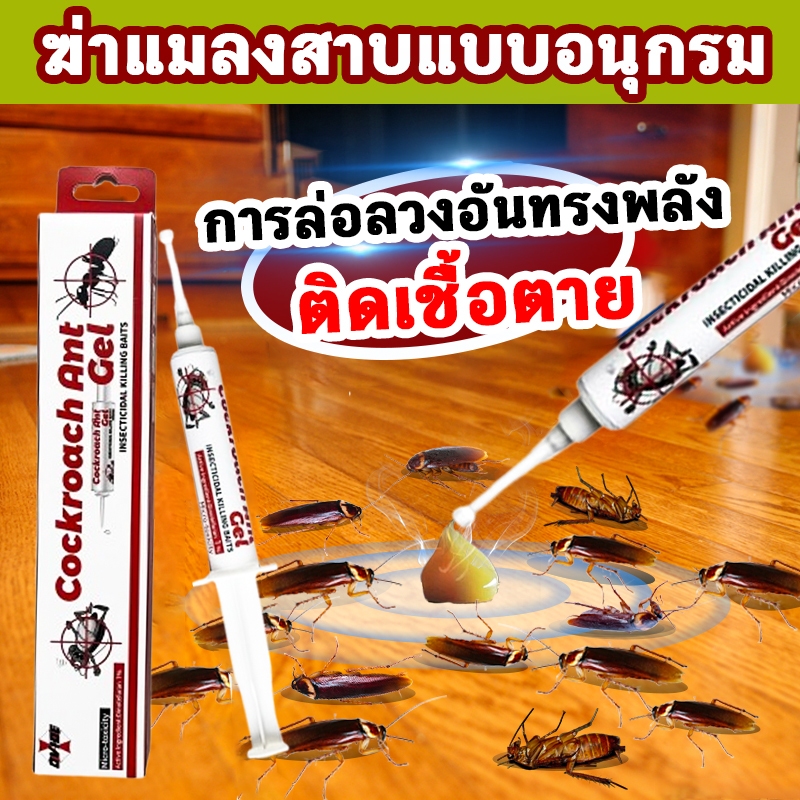 แมลงสาบตายทั้งรัง เจลกำจัดแมลงสาบ เจลฆ่าแมลงสาบ ยากำจัดแมลงสาบ ยาฆ่าแมลงสาบ กำจัดแมลงสาบ ผงกำจัดแมลง เจลแมลงสาป