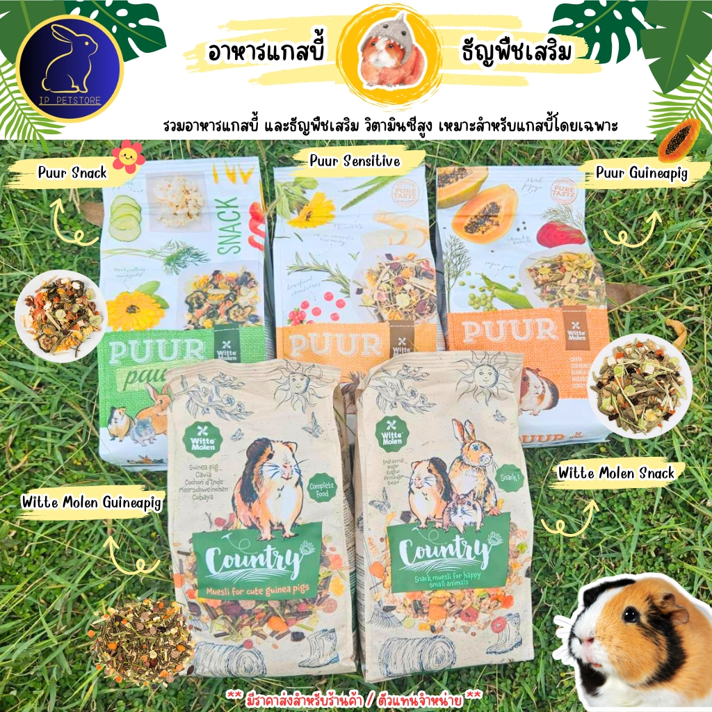 อาหารหนูแกสบี้ หนูขวัญ หนูตะเภา Puur Guinea pig อาหารสัตว์เลี้ยง
