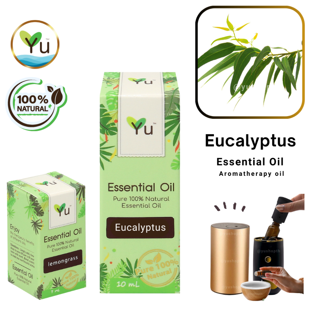 🌟 100% Pure 🌟 Eucalyptus Essential Oil กลิ่นยูคาลิปตัส | น้ำมันหอมระเหย กลิ่นสกัดจากธรรมชาติ 100% | 7-30 ml.
