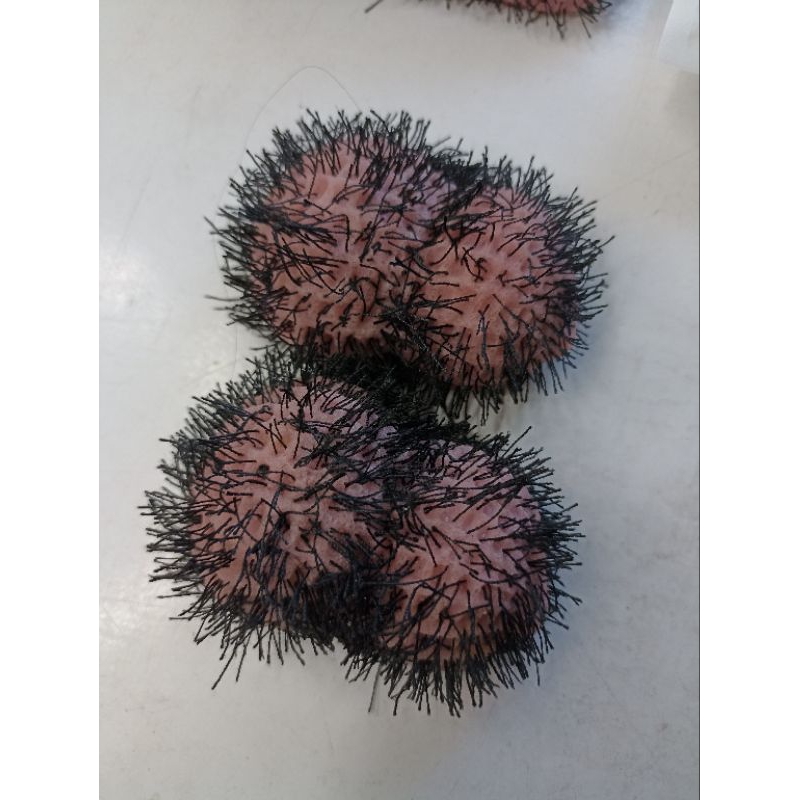 สกุชชี่ ถั่วลิสง ของเล่นถอนขนคุด ตุ๊กตามีขน ของเล่นคลายเครียด สกุชชี่โมนิ