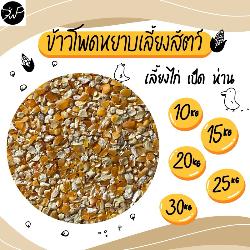 แบ่งขาย ข้าวโพดหยาบ ข้าวโพดบด ข้าวโพดแตก สำหรับเลี้ยงสัตว์ 10กก.,15กก.,20กก.,25กก. และ 30กก. 🌽🐣🐥🐔🐓