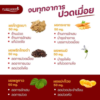 โกฐเขมาแคปซูล ตราภูรีเฮิร์บ 60 แคปซูล - ปวดเมื่อย เส้นตึง ปวดหลัง ข้อเข่าเสื่อม (ส่งจาก กรุงเทพฯ)