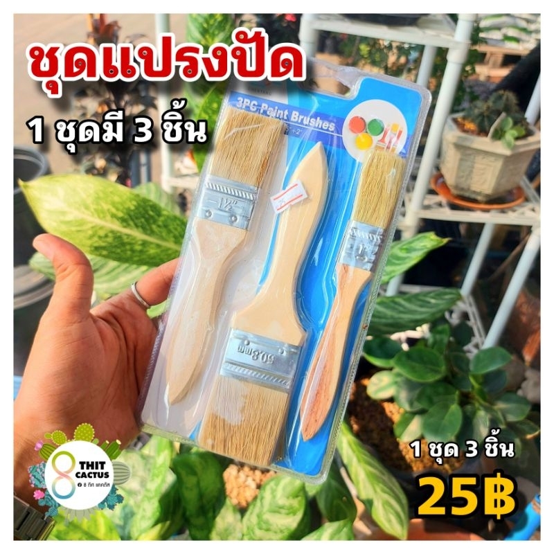 @ แปรงทาสี // ปัดตกแต่ง 1ชุด3ขนาด (คละแบบ) // ทำความสะอาด ต้นไม้ โกดัง