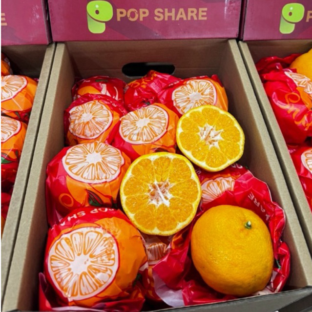 รูปภาพ 7