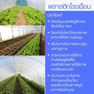 พลาสติกคลุมโรงเรือน กรีนเฮ้าส์ พลาสติกPE หนา 120/150 ไมครอน uv7% ขนาด เหมาะสำหรับงานกันซึมหลังคาเรือนกระจก ทำเฉพาะคุณภาพ