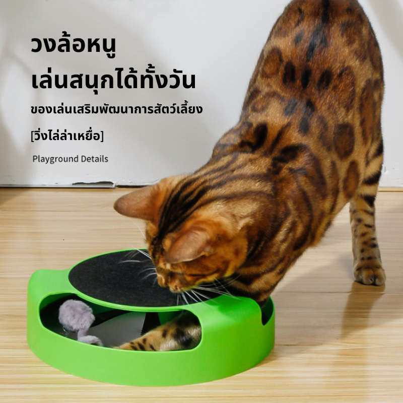 🐾ของเล่นแมว ของเล่นสำหรับแมวน้อย Cat Toy ของเล่นแมวไม่ต้องใช้แบต cat cattoy toy แมว pet pettoy