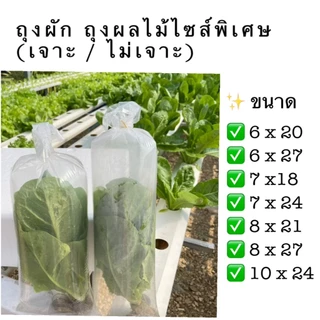 🛍️ ยกกระสอบ 30โล 🛍️ถุงใส่ผัก ผลไม้ เนื้อสัตว์ (LL) มีแบบยาวพิเศษ ถุง LLDPE ถุงเจาะรู ถุงไม่เจาะรู ถุงแช่เย็น ถุงแช่แข็ง