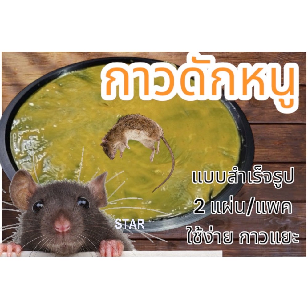 กาวดักหนูตราหนูเยอะ กาวดักหนูแบบสำเร็จรูปถาดเหนียวแน่นจับอยู่หมัด ใช้งานง่าย 2 แผ่น/แพ็ค