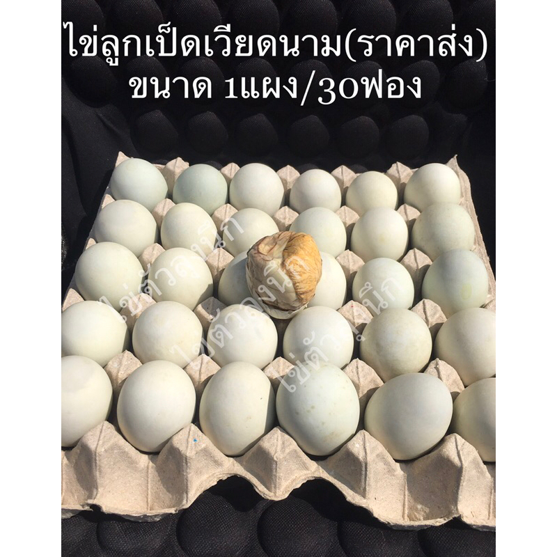 ไข่ลูกเป็ดเวียดนาม 100% ราคาส่ง ขนาด1แผง/30ฟอง