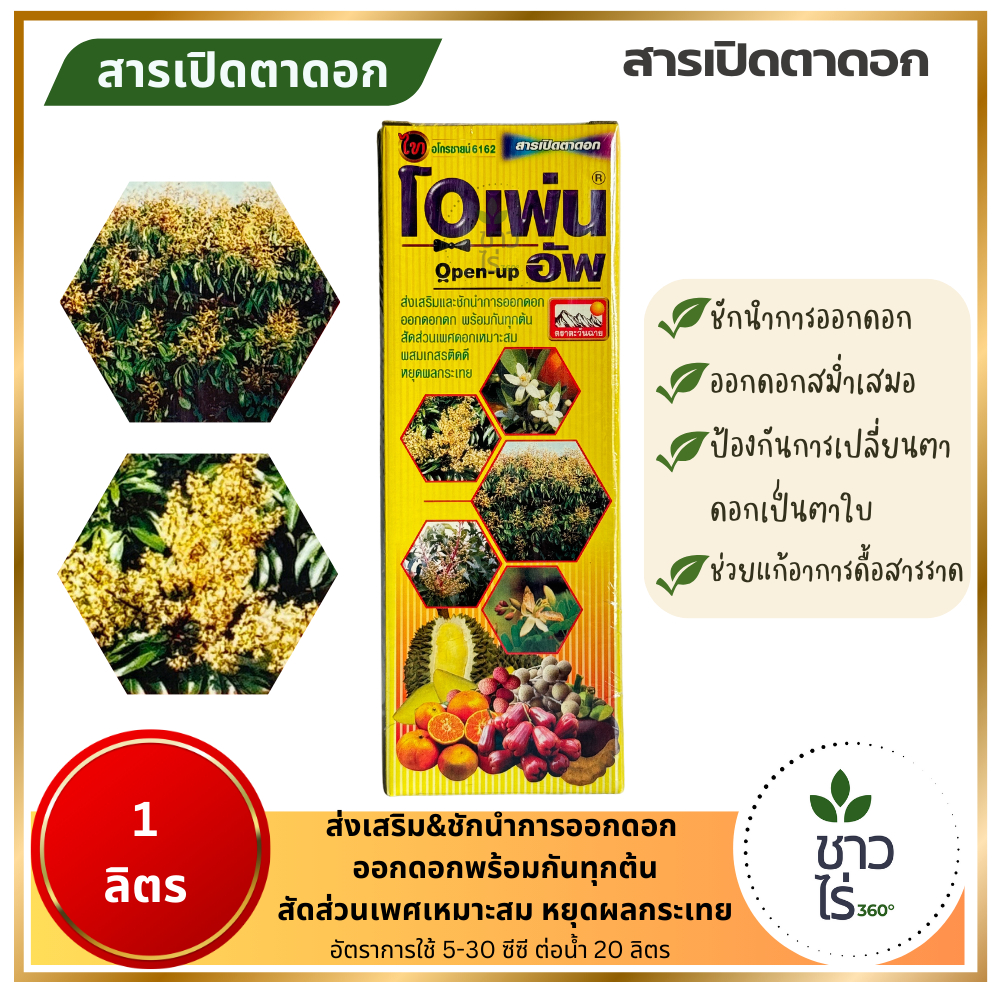 โอเพ่นอัพ 1 ลิตร สารเปิดตาดอกลำใย ชักนำการออกดอก ออกดอกดกสม่ำเสมอพร้อมกันทุกต้น หยุดผลกระเทย ข้าวออกรวงพร้อมกัน