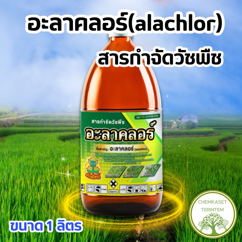 🍃อะลาคลอร์ สารคุมวัชพืชก่อนปลูก🍃เหมาะสำหรับดินแห้ง และชื้น