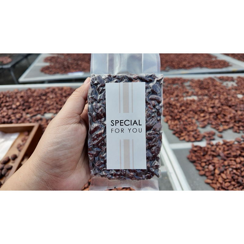 เมล็ดโกโก้แห้ง ขนาดทดลอง cacao beans 100g เมล็ดโกโก้คั่ว