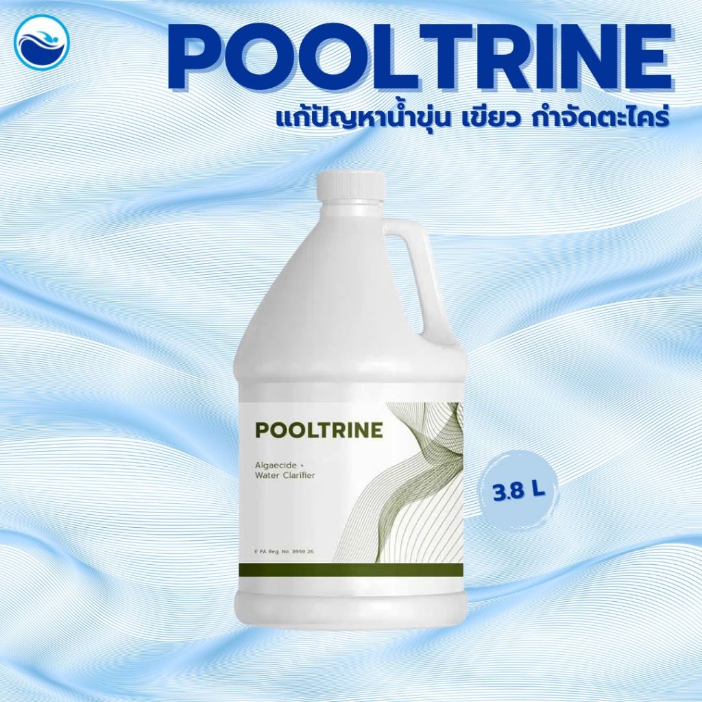 POOLTRINE น้ำยากำจัดตะไคร่ แก้ปัญหาน้ำขุ่น น้ำเขียว