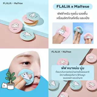 [พัฟ/แปรงแต่งหน้าเกาหลี] FLALIA x Maltese รวมพัฟ/คอลเลคชั่นอุปกรณ์แต่งหน้า