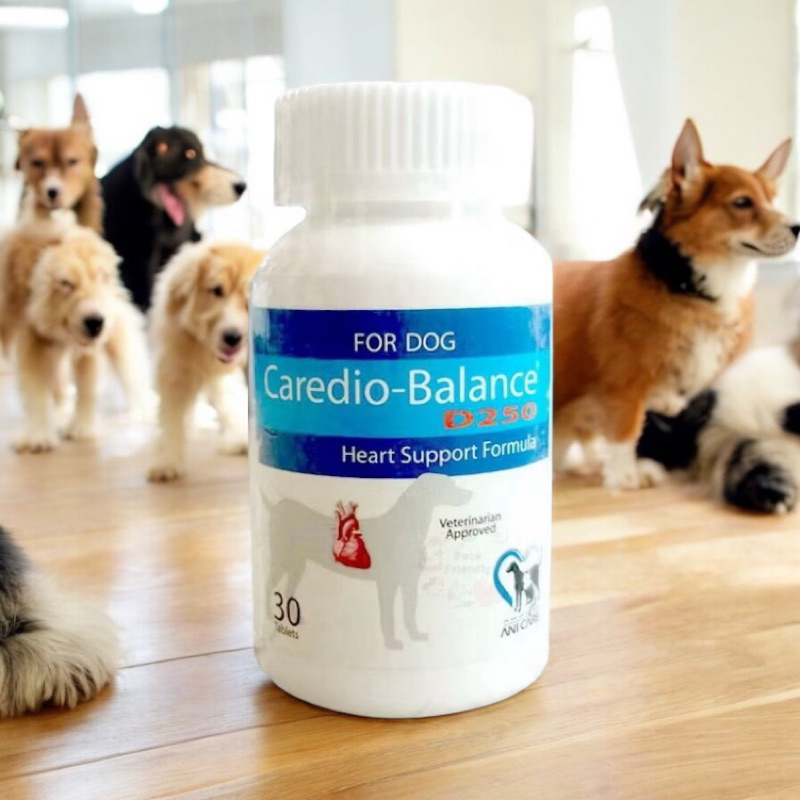Caredio-Balance D250 วิตามินบำรุงหัวใจ 1 ขวด บรรจุ 30 เม็ด
