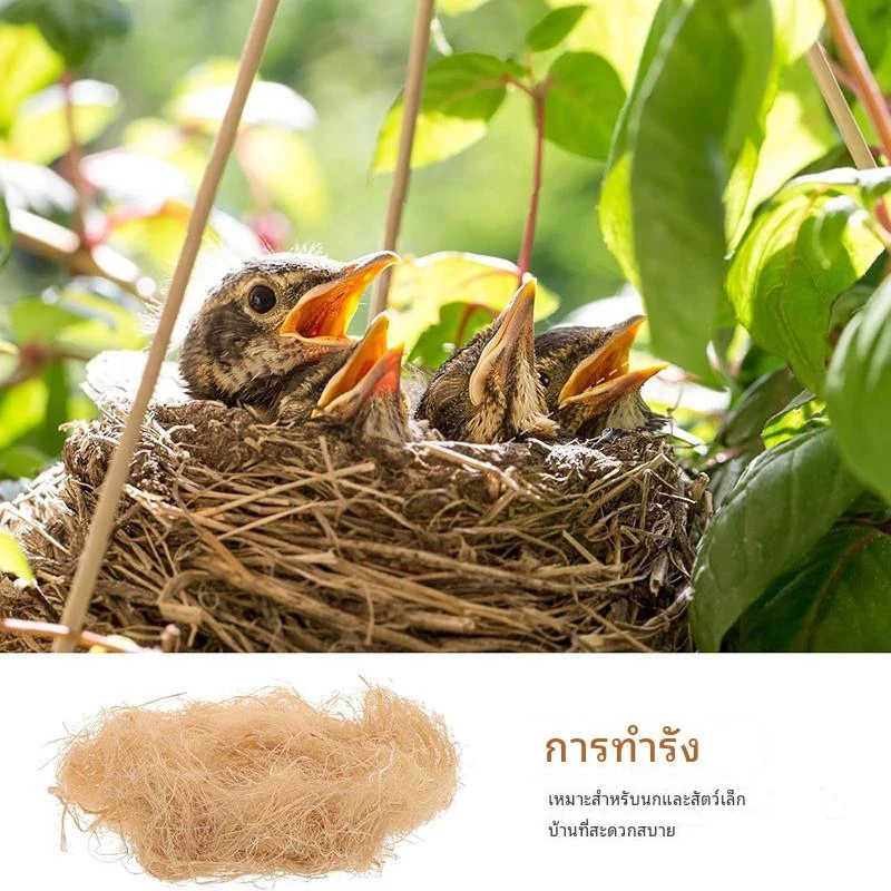หญ้าราฟฟี่ สวยสะอาด 30g. รองของขวัญ ถ่ายรูปสินค้า หรือเป็น รังนอนกระรอก หนู นก thumbnail 9