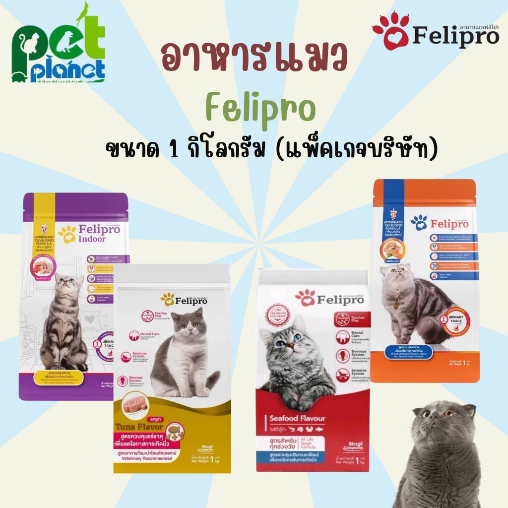 อาหารแมว Felipro อาหารแมวทุกช่วงวัย อาหารลดการเป็นนิ่ว ขนาด 1 กก.
