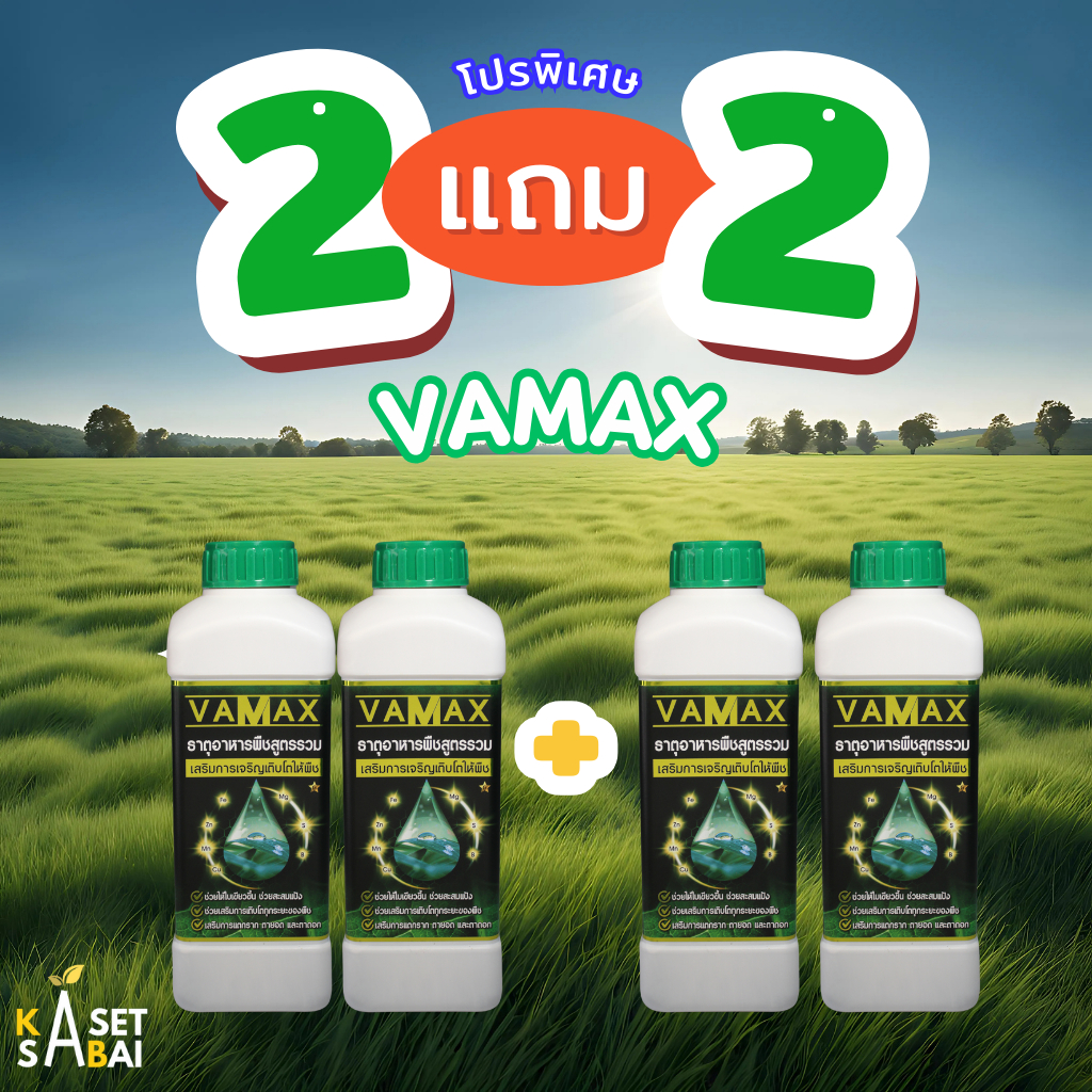 VAMAX 2แถม2 ปุ๋ยธาตุอาหารรวม เสริมการเจริญเติบโต  จัดส่งฟรี