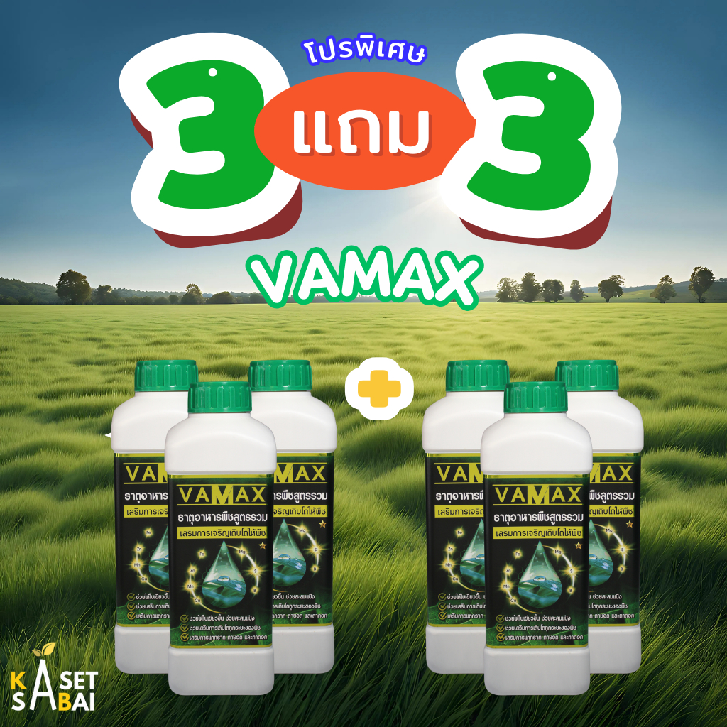 VAMAX 3แถม3 ปุ๋ยธาตุอาหารรวม เสริมการเจริญเติบโต  จัดส่งฟรี