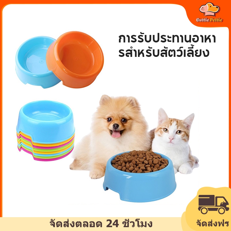 Cuttie Pettie ชามพลาสติกสำหรับสัตว์เลี้ยงสุนัขชามใส่อาหารแมวสวมชาม 12 x 4.5 ซม
