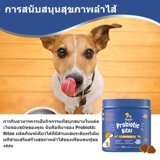 Popoo แพ็คสุดคุ้ม 2สูตร โปรไบโอติกสำหรับสุนัข และ Aller-Immune for Dogs ขนมสุนัข ช่วยระบบทางเดินอาหารและเสริมภูมิคุ้มกัน