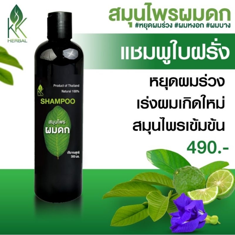 แชมพูปลูกผม แชมพูใบฝรั่ง แชมพูสมุนไพรผมดก เร่งผมเกิดใหม่ แก้ผมร่วง รังแค ผมเสีย ลดผมหงอก250มล.