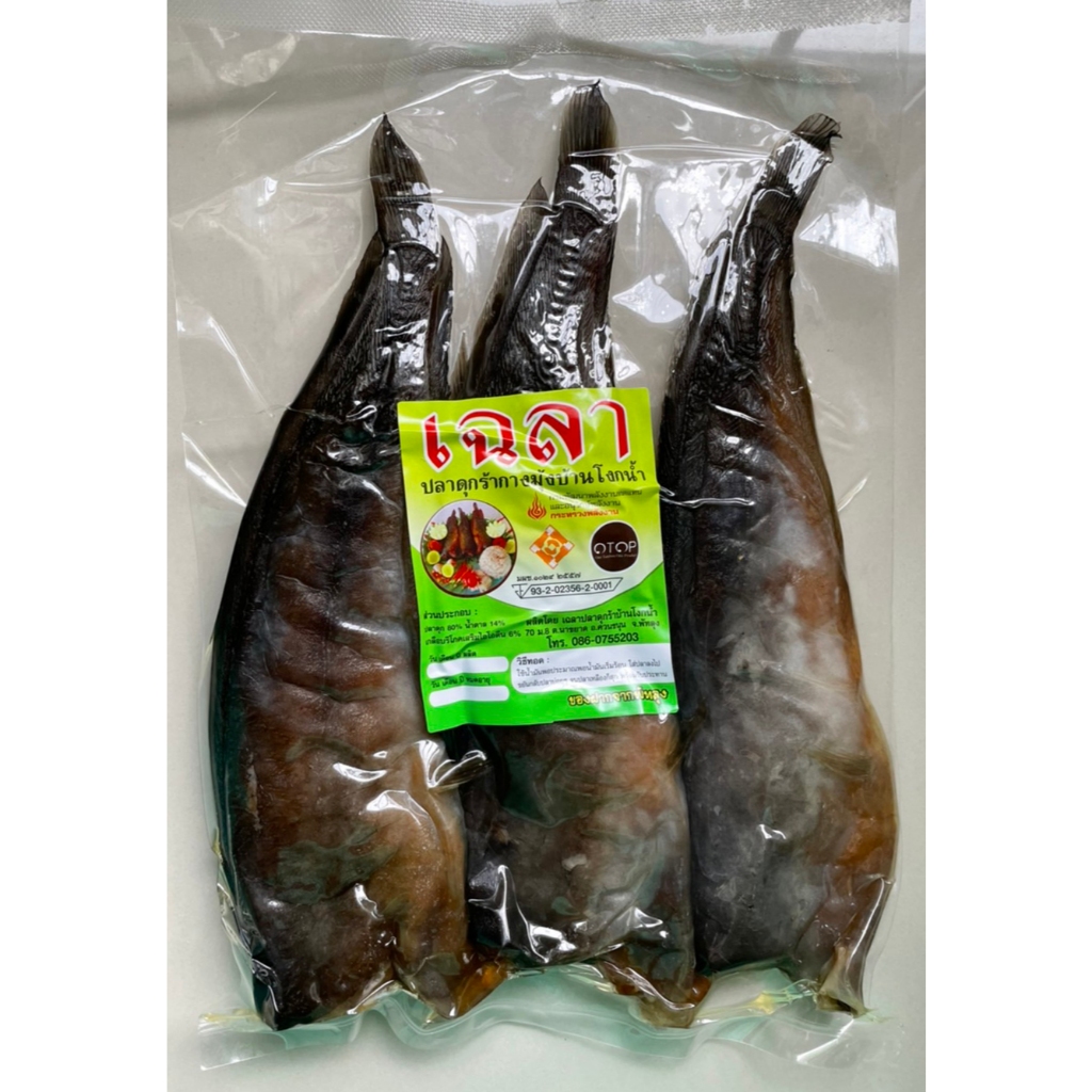 เฉลาปลาดุกร้ากางมุ้ง บ้านโงกน้ำ สินค้าโอท๊อป ของดีพัทลุง สะอาด หอม อร่อย (ตากในโรงเรือน ไม่ใช้ยากันแมลง ปลอดสารพิษ)