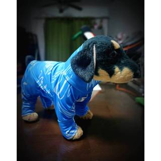 New!!!!  ชุดเก็บขนสุนัข Heng Heng