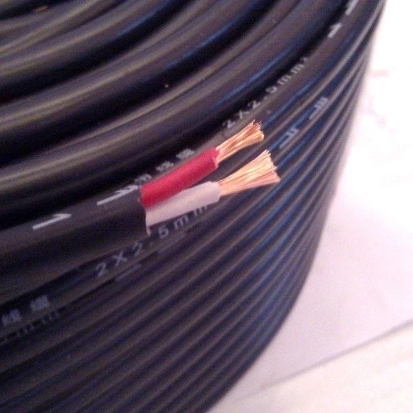 สายลำโพง Audio Speaker Cable สายลำโพงซับเบส 100% 1เมตร – 5 เมตร Speaker Cable with Nerve Wire Enhance Bass Wire – โปรปัง