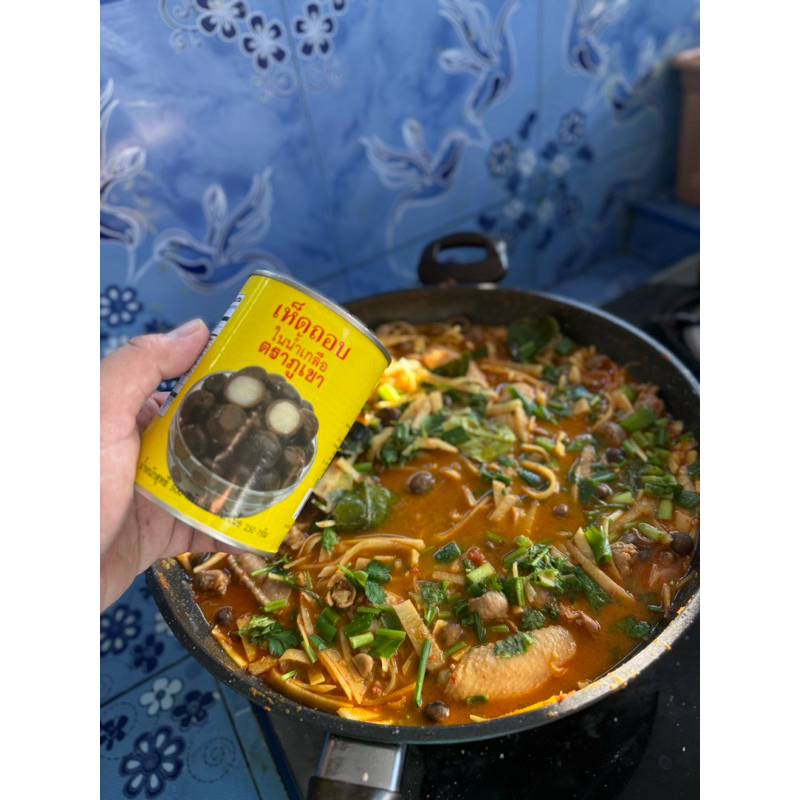 🍄เห็ดถอบเห็ดเผาะกระป๋องในน้ำเกลือ ‘🍄พร้อมส่ง  เหมือนธรรมชาติ ไม่ต้องรอถึงฤดูกาล มีให้ทานตลอดปี น้ำหนักเนื้อ 250 กรัม