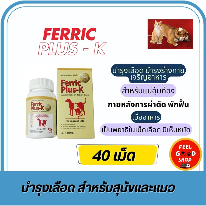 Ferric Plus-K (ขนาดบรรจุ 40 เม็ด) วิตามินบำรุงเลือด บำรุงสุขภาพ (หมดอายุ 06/2027)