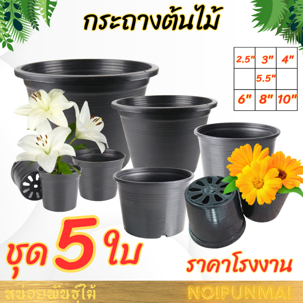 5 ใบ!! กระถางต้นไม้พลาสติก กระถางสีดำ 2.5" 3 "4" 5.5" 6 "8" 10" นิ้ว สีดำ(ชุด 5 ใบ)