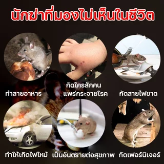 ยาเบื่อหนูแห้ง ออกฤทธิ์แรง หนูกินแล้วตายแห้ง ไม่มีกลิ่น ใช้ครั้งเดียว กันหนูได้ยาวนาน 1 ปี ของแท้ 100%