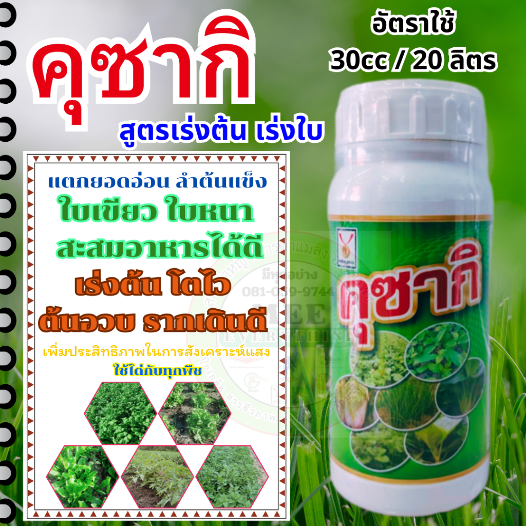 ปุ๋ยน้ำ เร่งต้น ปุ๋ยน้ำทางใบ เร่งใบ ใบเขียว ใบใหญ่ ใบหนา ใบสวย ใบสมบูรณ์ ธาตุอาหารครบ ฉีดทางใบ ต้นสวย เขียวหนาใบสวย