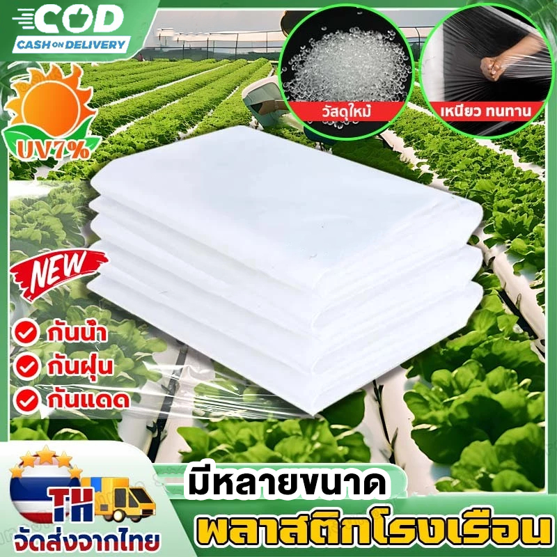 พลาสติกโรงเรือน พลาสติกใส พลาสติกPE หนา 150 ไมครอน โรงเรือน โรงเรือนเพาะชำ พลาสติกคลุมโรงเรือน พลาสต