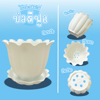 Go Dung Plastic กระถางต้นไม้ บิวตี้ พร้อมจานรอง 6" 8" 10" 12" 15"