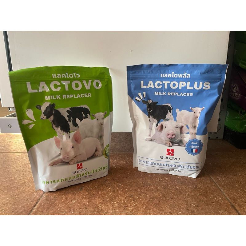 แลคโตพลัส Lactoplus /Lactovo นมสำหรับสัตว์ ขนาด 1 กิโลกรัม โค แพะ แกะ สุกร