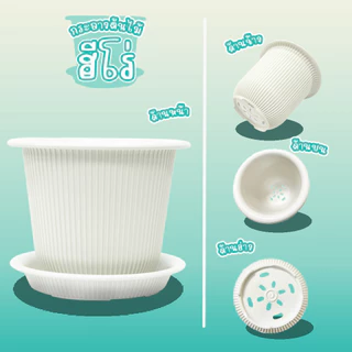 Go Dung Plastic กระถางต้นไม้ ฮีโร่ พร้อมจานรอง 6" 8" 10" 12" 15"