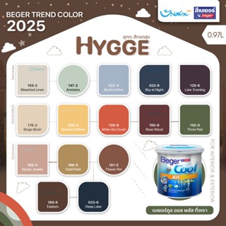 Beger เฉดสี 2025 คูลออลพลัส กึ่งเงา 1/4 กล. เกรด 10 ปี Cool …