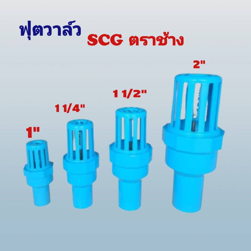 หัวกะโหลกดูดน้ำ หัวบัวดูดน้ำ foot volve pvc  ขนาด 1นิ้ว 1 1/4นิ้ว 1 1/2นิ้ว 2 นิ้ว ตราช้าง(SCG)