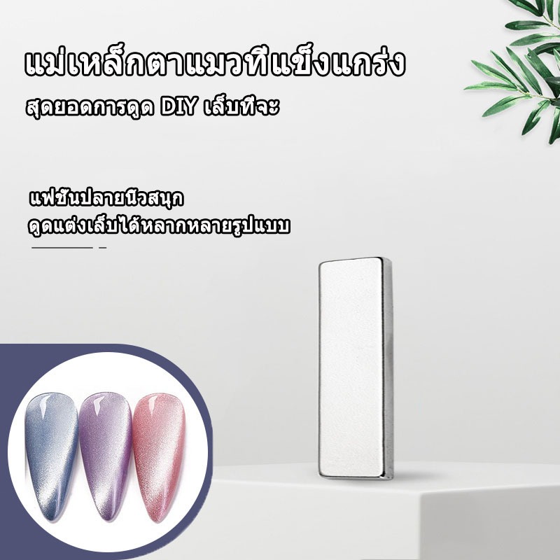อุปกรณ์เพ้นท์เล็บแม่เหล็กรูปตาแมวทรงสี่เหลี่ยม