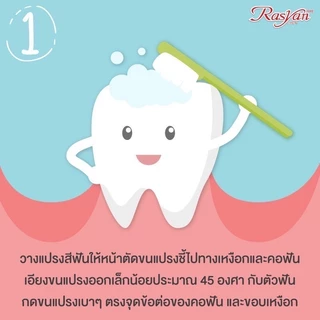 [1แพ็ค12หลอด] Rasyan ราสยาน ยาสีฟันสมุนไพร ยาสีฟันกานพลู ผสม ว่านหางจระเข้ และ ใบฝรั่ง (100กรัม)