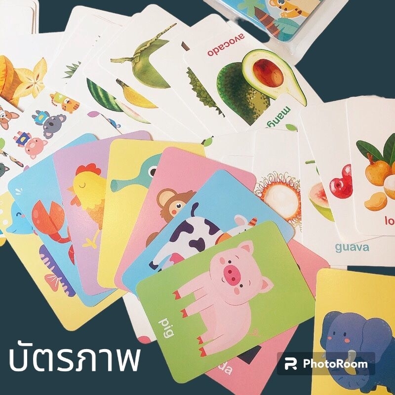 flashcard บัตรภาพคำศัพท์ หมวดสัตว์