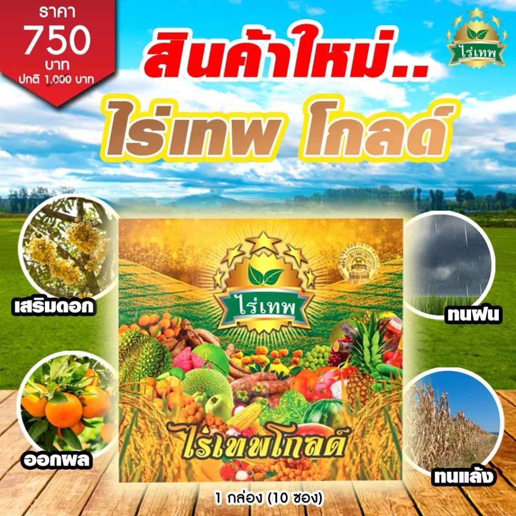 ไร่เทพ โกลด์ สารเพิ่มประสิทธิภาพพืช 1 กล่อง (10 ซอง) ทนแล้ง ทนฝน เสริมดอก ออกผล