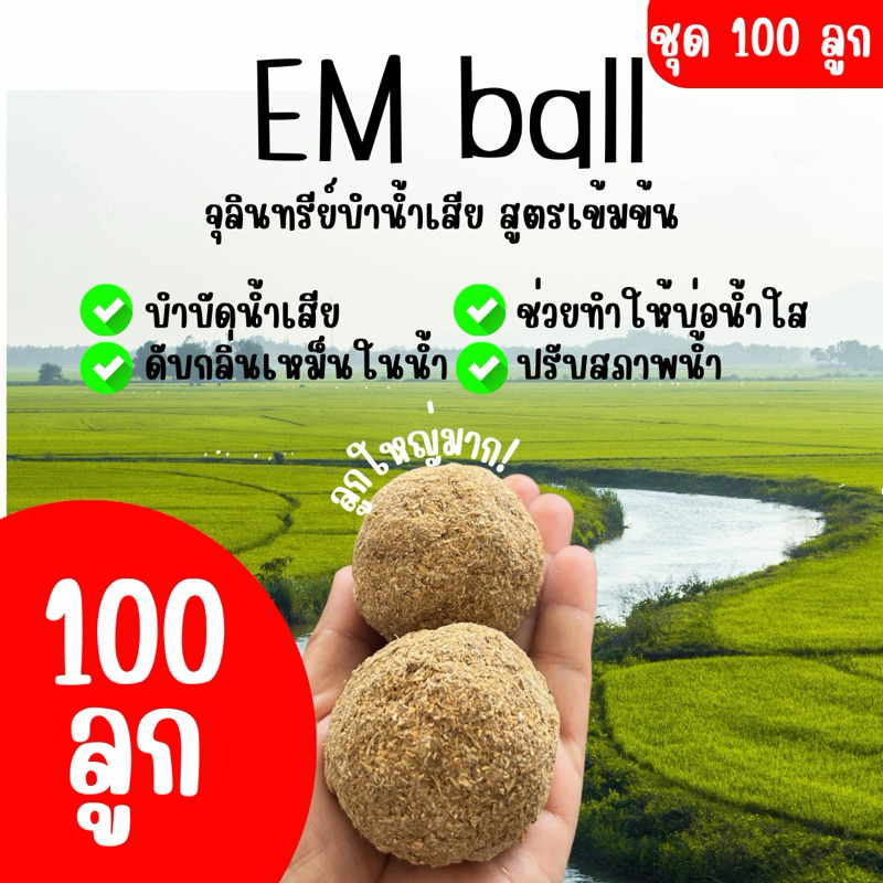 Em ball บำบัดน้ำเสีย ช่วยดับกลิ่นเหม็นจากน้ำเน่า แก้ปัญหาน้ำเน่าเสีย ตัวช่วยทำให้น้ำใส (100ลูก)