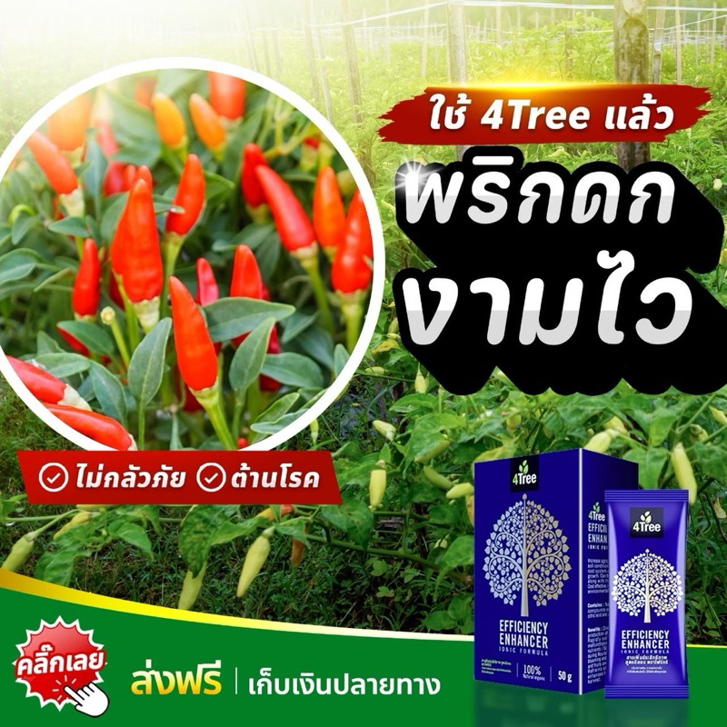 สุดคุ้ม 1 ซอง 4tree โฟร์ทรี สารเพิ่มประสิทธิภาพพืช สูตรอิออน ของแท้ % พร้อมส่ง