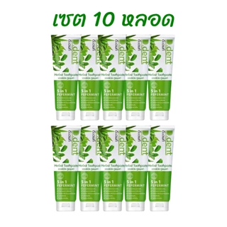 (แพค 10หลอด) D.Dent ดีเดนท์ ยาสีฟันสมุนไพร ขนาด 100 กรัม
