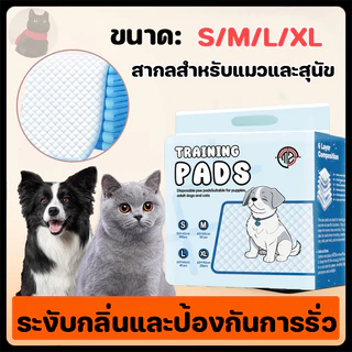 MZ แผ่นรองฉี่สุนัข แผ่นรองฉี่แมว 6 ระดับ หนาขึ้น แผ่นรองฉี่ ช่วยฝึกขับถ่าย ซึมซับได้ดี กักเก็บกลิ่น แผ่นรองซับดูดซึมได้ด