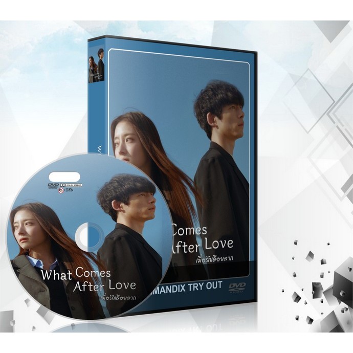 ซีรี่ย์เกาหลี What Comes After Love เมื่อรักเลือนจาก DVD 2 แผ่นจบ.