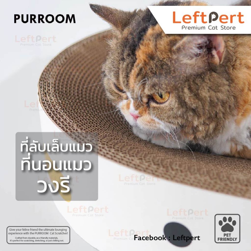 Purroom Chicky ที่ลับเล็บแมว และบ้านแมว รูปกุ๊กไก่วงรี